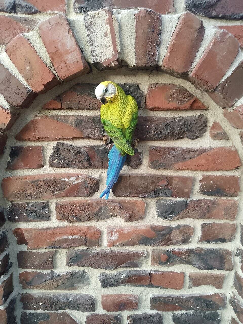 Фото Гостевого дома Димерчи Лермонтово 45