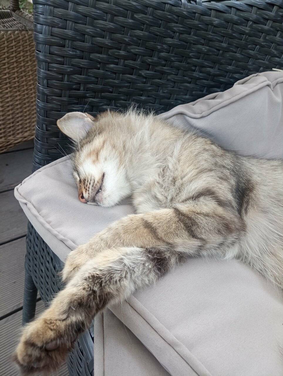 Фото Гостевого дома Димерчи Лермонтово 54