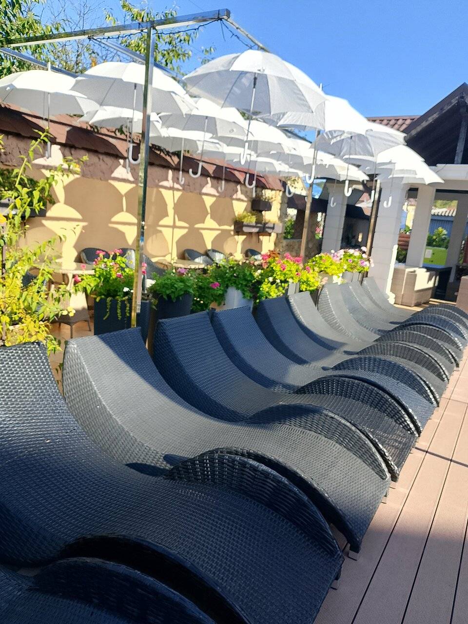 Фото Гостевого дома Димерчи Лермонтово 20