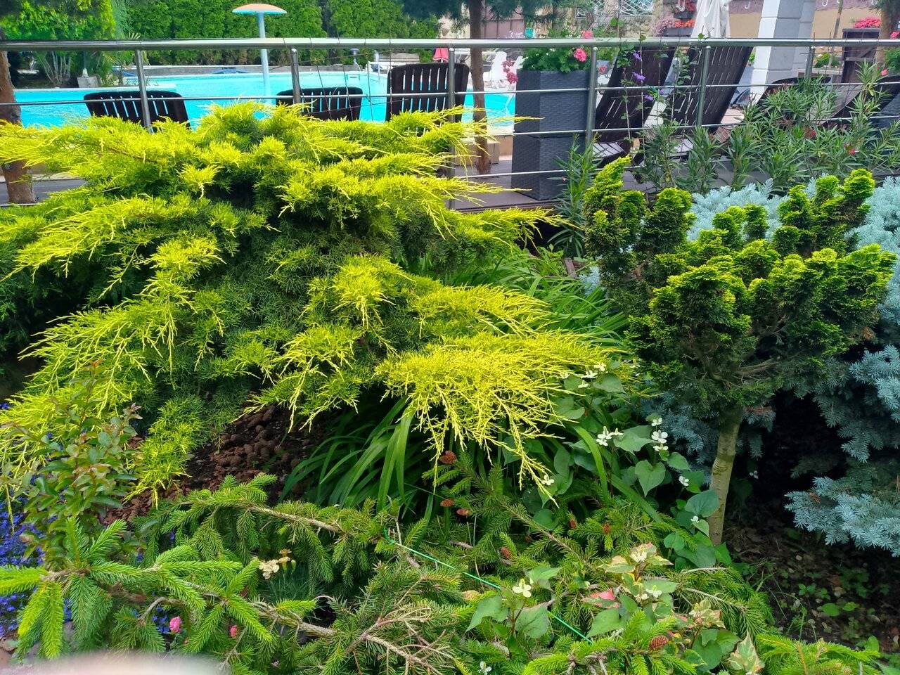 Фото Гостевого дома Димерчи Лермонтово 63