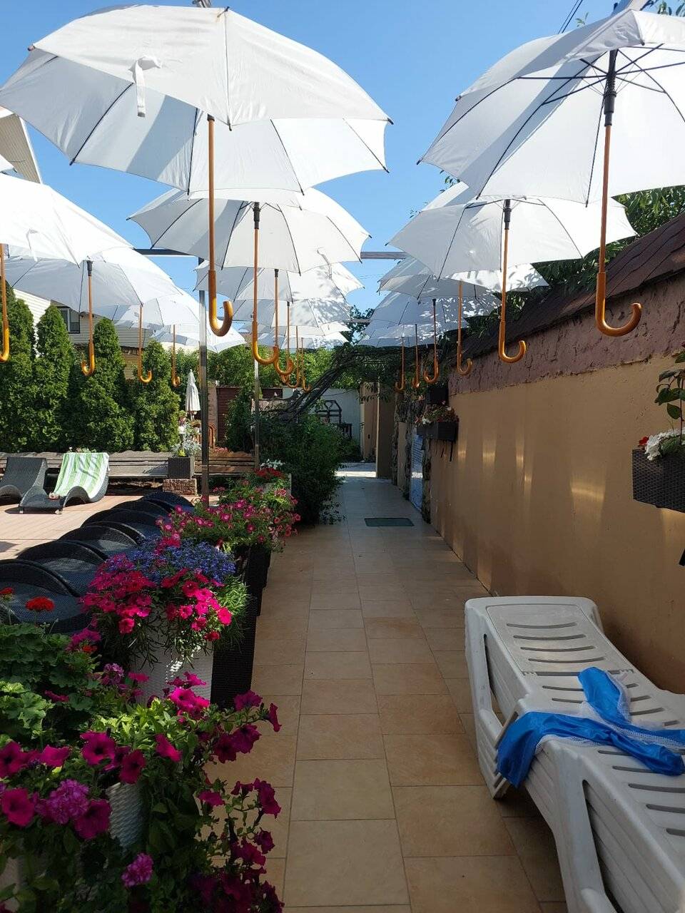 Фото Гостевого дома Димерчи Лермонтово 91