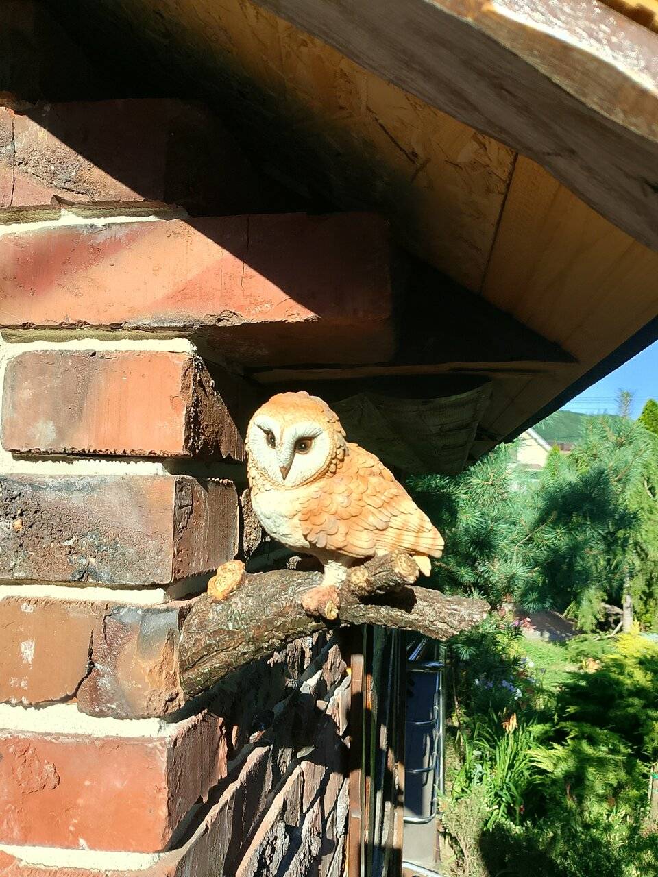 Фото Гостевого дома Димерчи Лермонтово 14