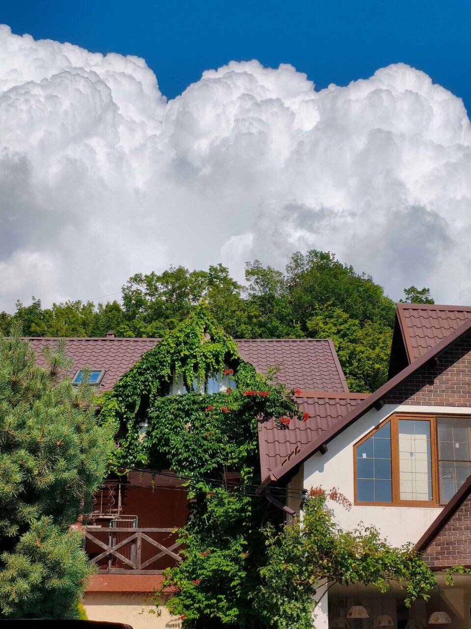 Фото Гостевого дома Димерчи Лермонтово 33