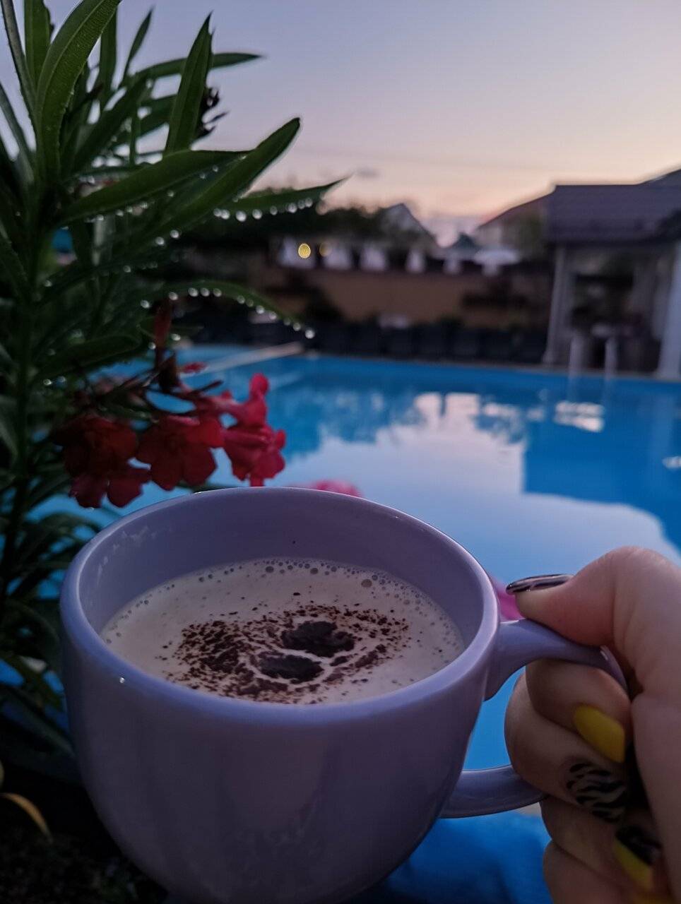 Фото Гостевого дома Димерчи Лермонтово 30