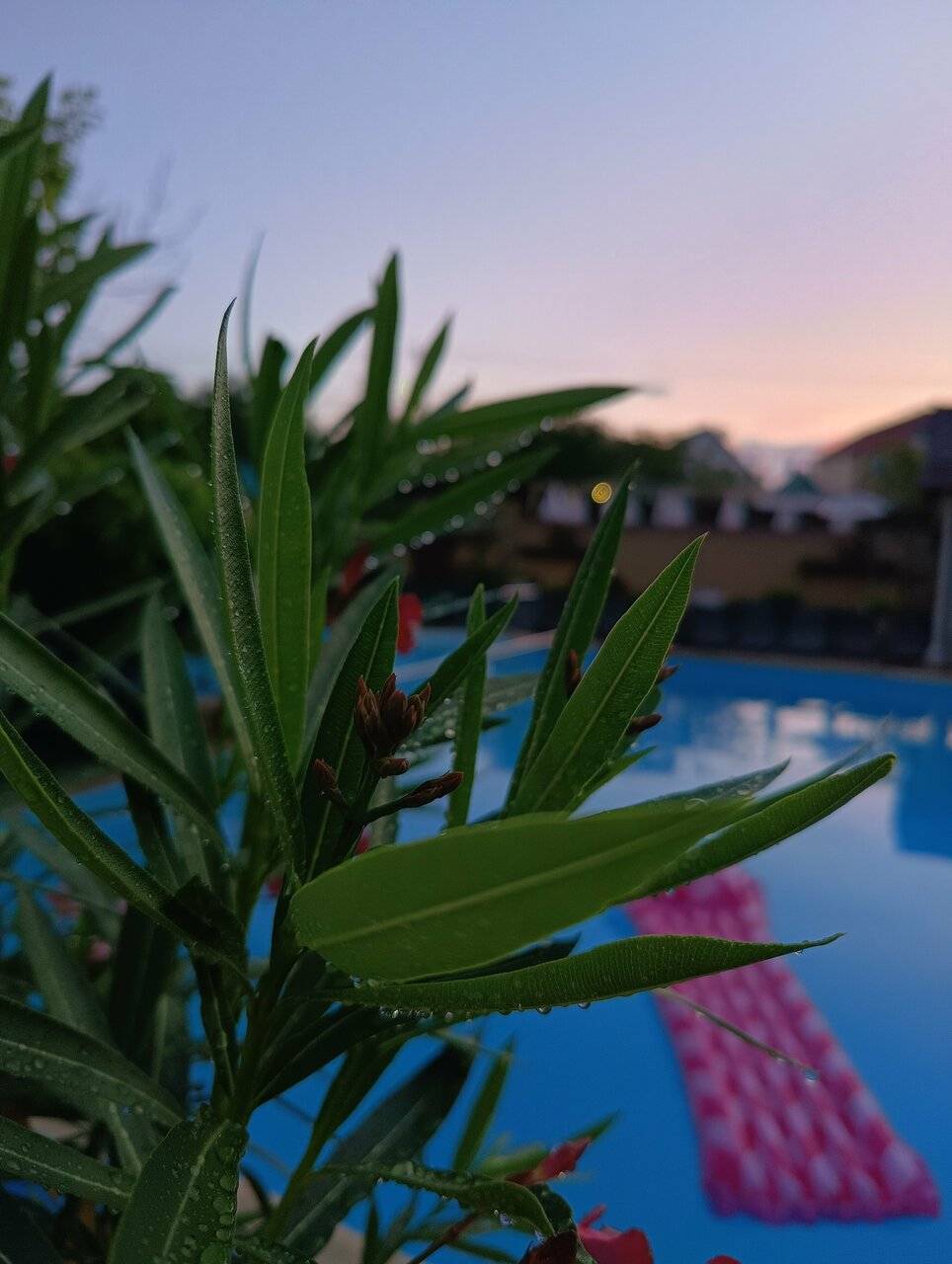 Фото Гостевого дома Димерчи Лермонтово 11