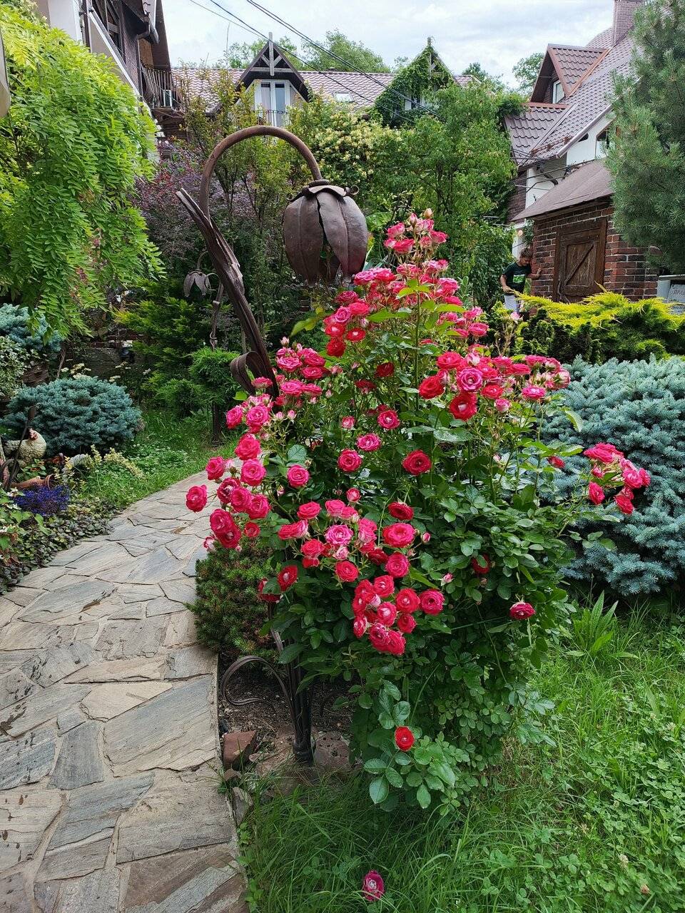 Фото Гостевого дома Димерчи Лермонтово 42