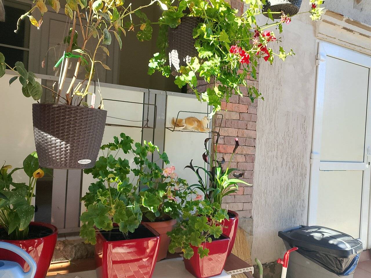 Фото Гостевого дома Димерчи Лермонтово 122