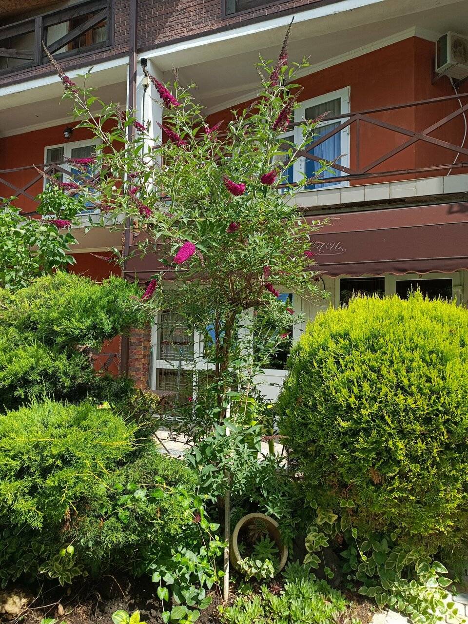 Фото Гостевого дома Димерчи Лермонтово 87