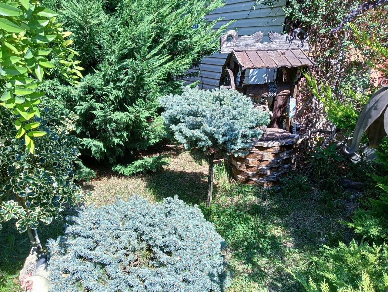 Фото Гостевого дома Димерчи Лермонтово 31