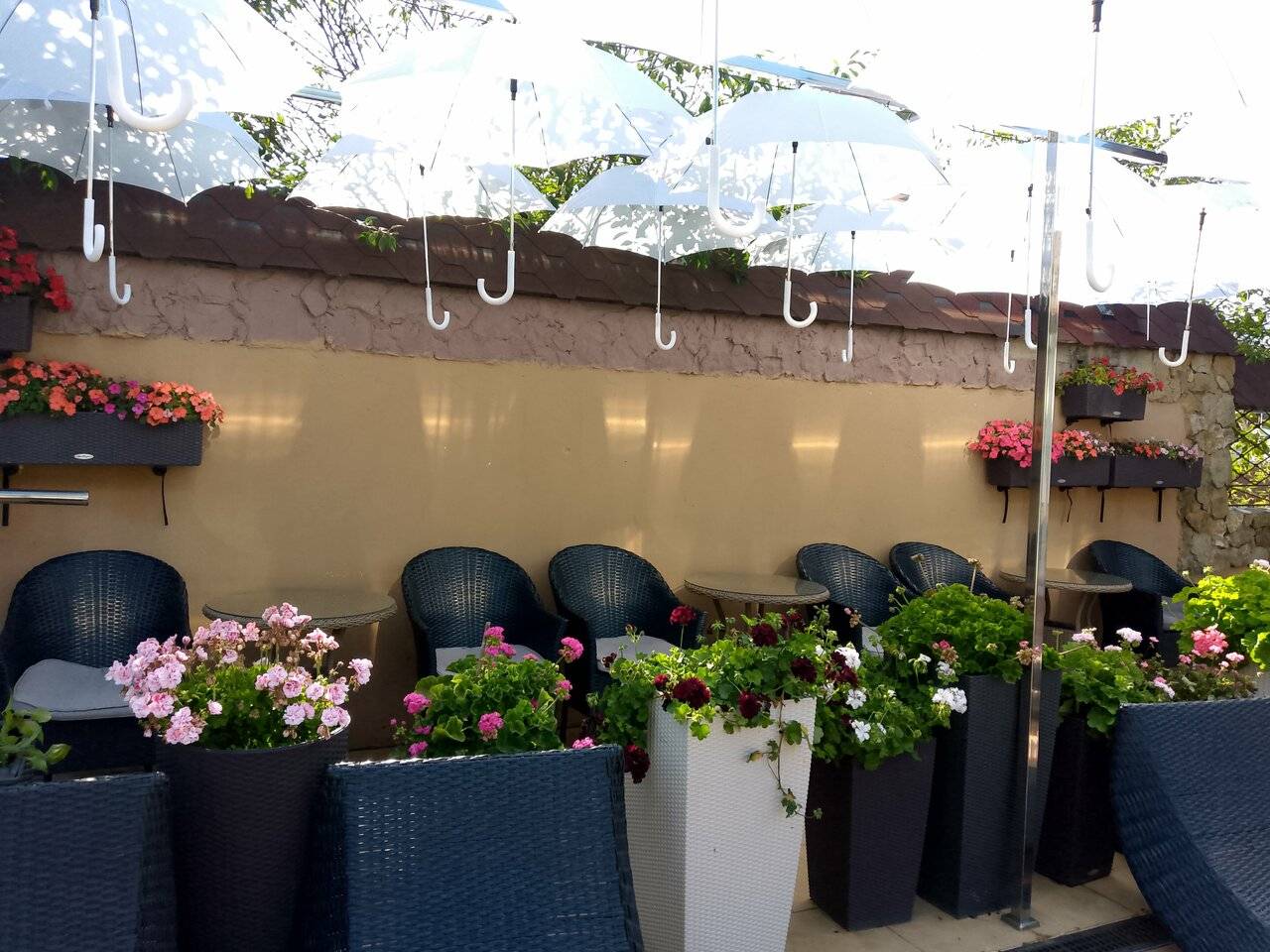 Фото Гостевого дома Димерчи Лермонтово 112