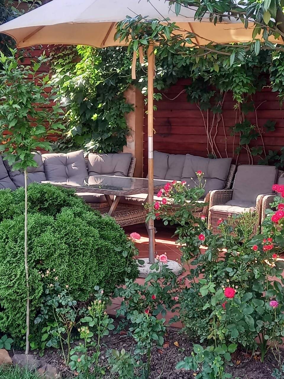 Фото Гостевого дома Димерчи Лермонтово 99